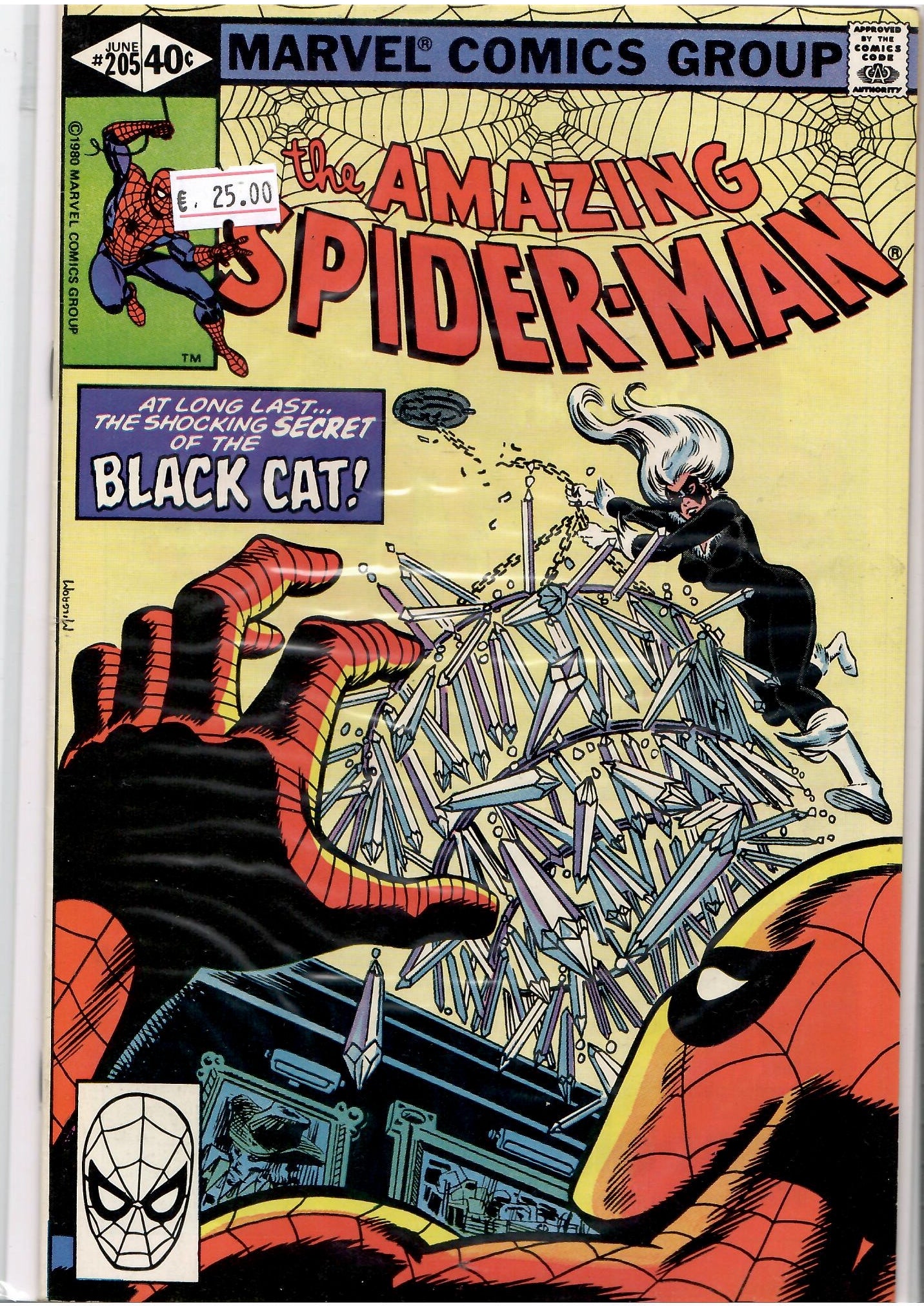 Amazing Spider-Man #205 (1980) Black Cat very Fine