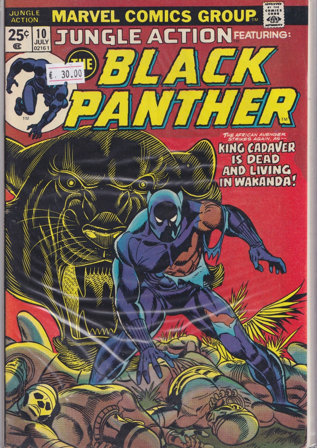 Jungle Action #10 (1974) Black Panther Fine