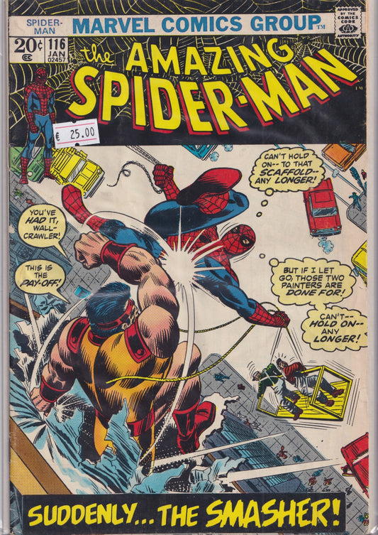 Amazing Spider-Man #116 (1973) Vg