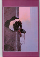 Moebius Spider-Man FCL