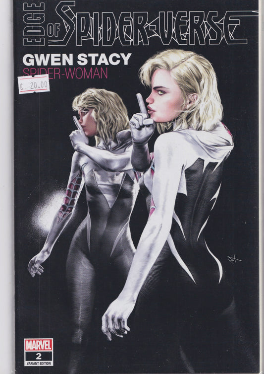Edge of Spider-Verse#2  (2022)  reprint Marco Turini Variant NM