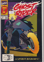 Ghost Rider #1 ( 1990) 1° New Ghost Rider Very Fine