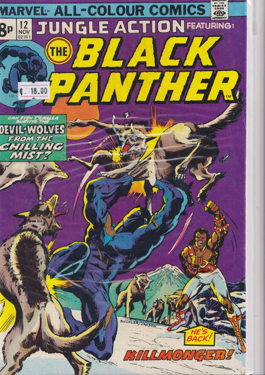 Jungle Action #12 (1974) Black Panther Fine FCL
