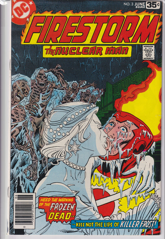 Firestorm #3 (1978) 1° Kille Frost VF - French Comics Lovers