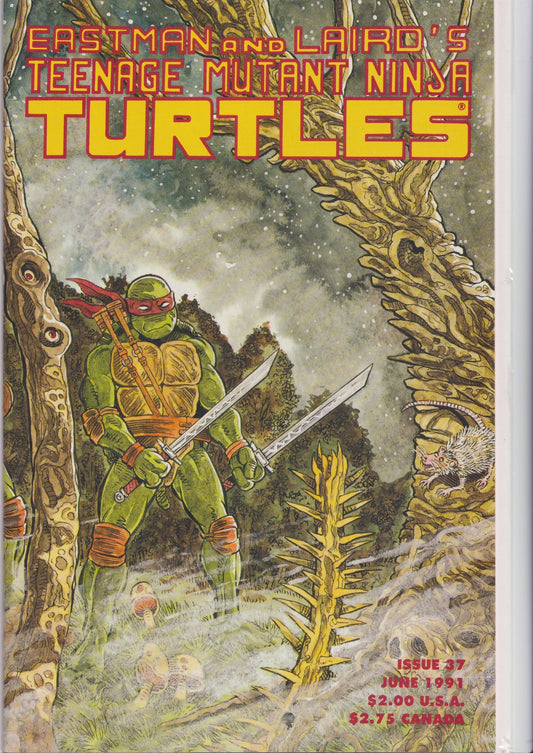 Teenage Mutant Ninja Turtles #37 (1990) The Original run Very Fine