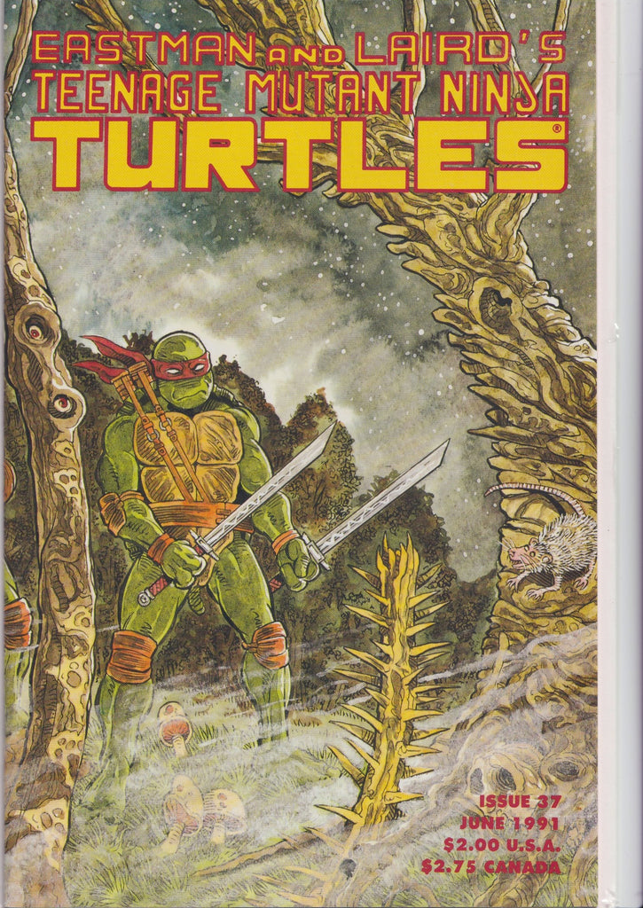 Teenage Mutant Ninja Turtles #37 (1990) The Original run Very Fine