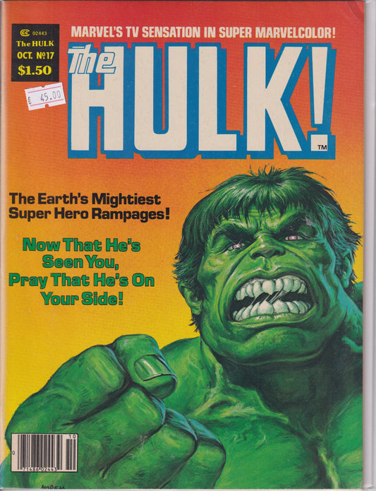 Hulk Magazine #17 (1980) Moon Knight Fine+ - French Comics Lovers