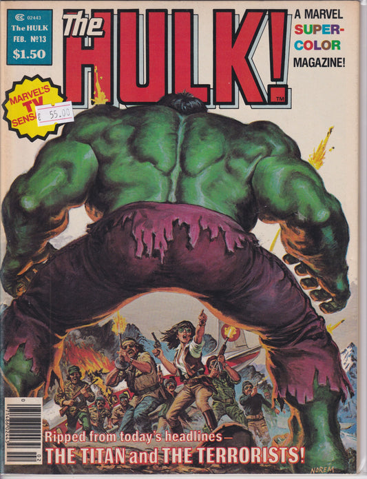 Hulk Magazine #13 (1979) Moon Knight Fine+ - French Comics Lovers