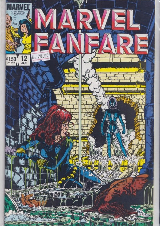 Marvel Fanfare #12 Black Widow VF - French Comics Lovers