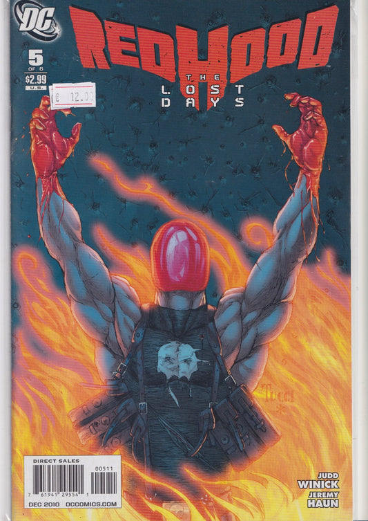 Red Hood The Lost Days #5 (2010) Very Fine FCL