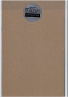 Batman the Dark Knight Returns #1 (2025) rare Gold foil Fan Expo exclusive classic Miller story NM