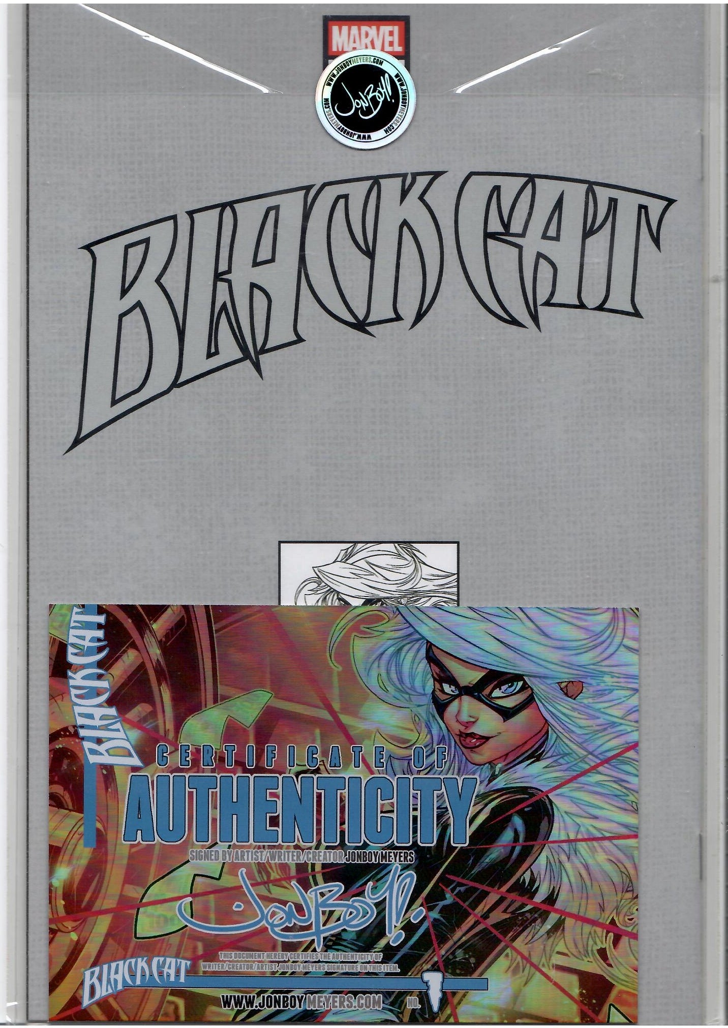 Black Cat #1 (2025) Signed Variant Cover by Jonboy Meyers NM
